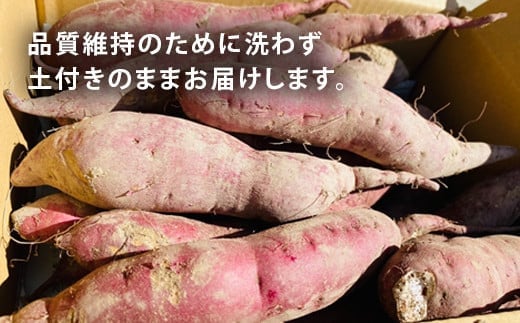 栽培期間中、農薬・化学肥料不使用 ホクホク甘～い『至福の紅あずま』サイズ 中～大混合 5kg さつまいも サツマイモ 山形県 新庄市 F3S-1937