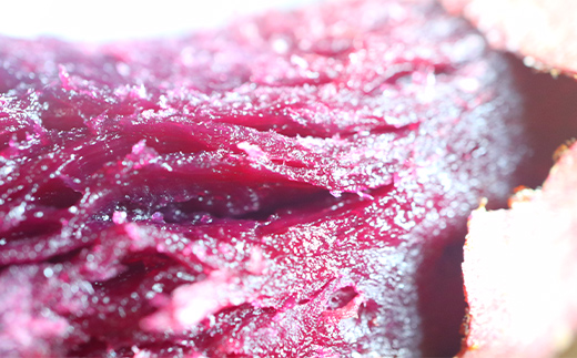 自然栽培 ふくむらさき 2kg 大～小混合 さつまいも サツマイモ 芋 F3S-1995