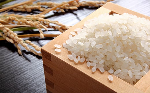 【令和6年産】 極みのササニシキ（精米）1kg 米 お米 おこめ 新米 ふるさと納税 山形県 新庄市 F3S-2202