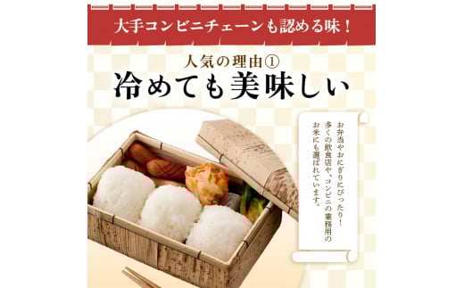 令和6年産 米どころ 山形県産 はえぬき（精米）5kg 22年連続特A受賞 米 お米 おこめ 山形県 新庄市 F3S-2337