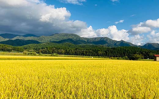 定期便 全6回 極みのササニシキ（精米）3kg 米 お米 おこめ ふるさと納税 山形県 新庄市 F3S-2388