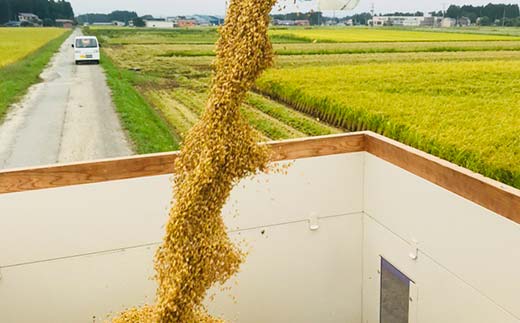 極みのササニシキ（精米） 5kg 米 お米 おこめ 山形県 新庄市 F3S-2431