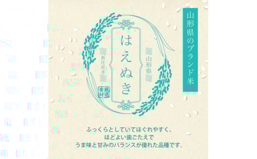 令和7年産 ＜定期便 6回＞ 山形県産 はえぬき 精米 10kg （5kg×2）【最上ノ米蔵】 F3S-2489