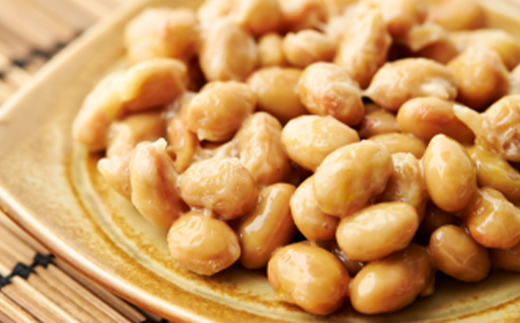 最上納豆セット 山形県 新庄市 F3S-2606