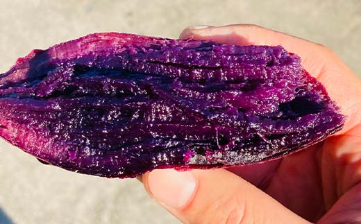 <2026年秋収穫分 先行予約> 栽培期間中、農薬・化学肥料不使用 もちもち甘～い『ふくむらさき』1kg（3～5本） さつまいも サツマイモ F3S-2616