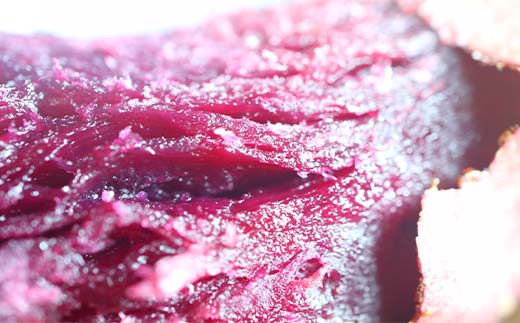 自然栽培 ふくむらさき 1kg サイズ 大～小混合 さつまいも サツマイモ 芋 F3S-2637