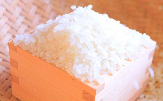 【令和7年産】 黒澤のはえぬき 5kg 米 お米 おこめ 山形県 新庄市 F3S-2675