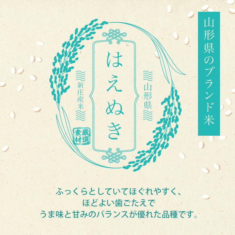 令和7年産 はえぬき 5kg×2 計10kg 精米 【最上ノ米蔵】 山形県産 こめ お米 米 白米 F3S-2676