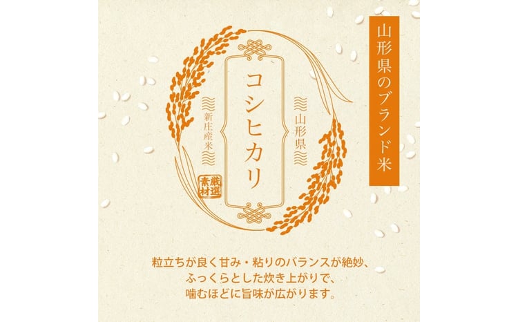 令和7年産 コシヒカリ 5kg×2 計10kg 精米 【最上ノ米蔵】 山形県産 こしひかり こめ 米 白米 F3S-2686