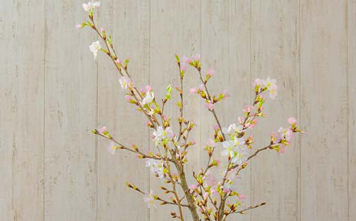 【一足早い春を、雪国新庄から】山形県新庄市産 啓翁桜 切り花（10本程度） F3S-2690