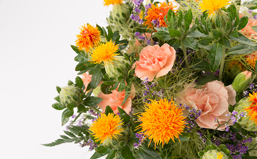 【全6回 定期便】 2ケ月に1回お届け 新庄フラワーギフト F3S-0888