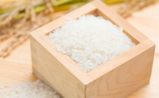 【定期便全6回】令和6年産よっしーの「つや姫」さまeco（精米）5kg×6 米 お米 おこめ 白米 山形県 新庄市 F3S-1628