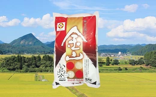 【新庄市×戸沢村×金山町 共通返礼品】厳選米 食べ比べセット 15kg（5kg×3種類）つや姫・雪若丸・はえぬき 精米  FAE-0001