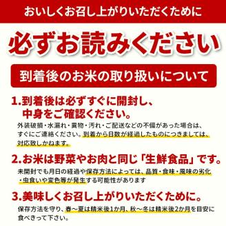 【定期便 隔月配送 全6回】山形県産 はえぬき 精米 2kg×1袋×6回(計12kg) F3S-1896