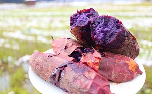 栽培期間中、農薬・化学肥料不使用 もちもち甘～い『ふくむらさき』 小～大混合 2kg さつまいも サツマイモ F3S-1942