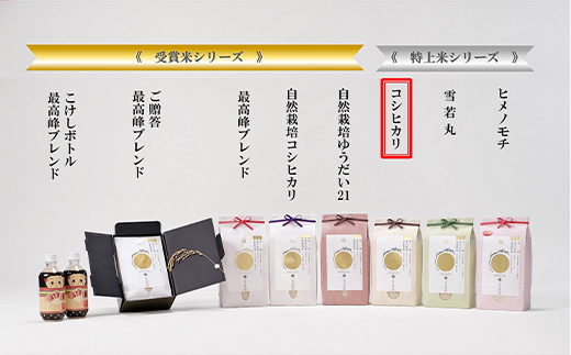 定期便 5kg×6回 金賞受賞農家の【特上 コシヒカリ】こしひかり 米 精米 F3S-2011