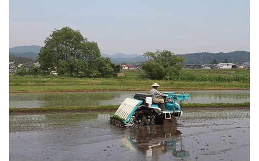 【先行予約】令和7年産 よっしーの超こだわり米(農薬不使用) コシヒカリ （精米）5kg こしひかり 米 お米 おこめ 山形県 新庄市 F3S-2496