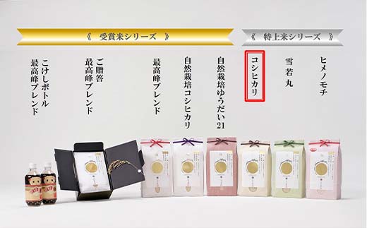 金賞受賞農家の【特上 コシヒカリ】10kg（5kg×2袋） こしひかり 米 精米 F3S-2515