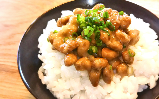 最上納豆セット 山形県 新庄市 F3S-2606