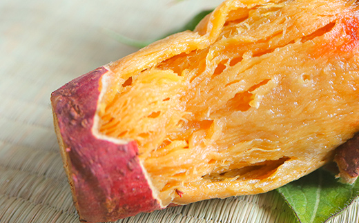 <2026年秋収穫分 先行予約> 上品な甘さの【シルクスイート】5kg （栽培期間中、農薬、化学肥料不使用） さつまいも サツマイモ 芋 F3S-2619