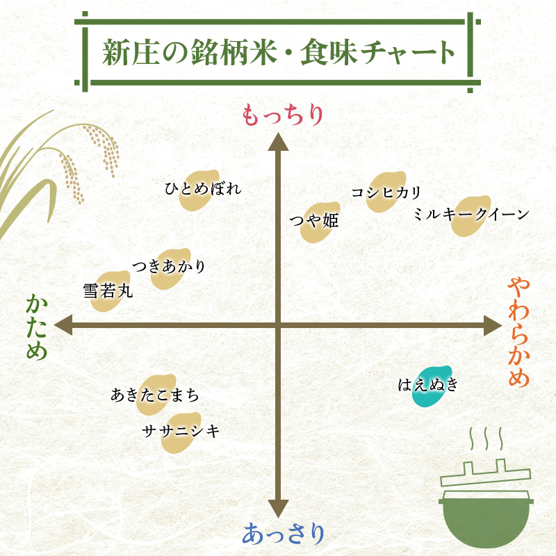 令和7年産 はえぬき 5kg×2 計10kg 精米 【最上ノ米蔵】 山形県産 こめ お米 米 白米 F3S-2676