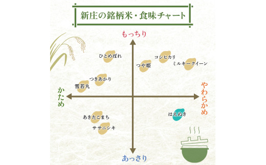 令和7年産 はえぬき 5kg×4 計20kg 精米 【最上ノ米蔵】 山形県産 こめ お米 米 白米 F3S-2677