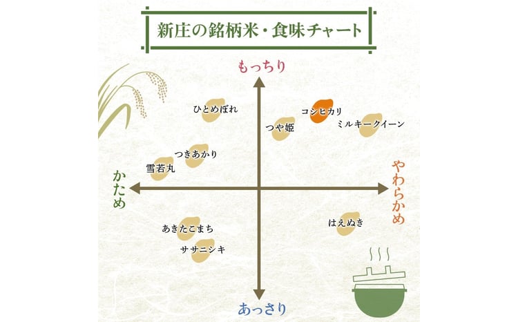 令和7年産 コシヒカリ 5kg×4 計20kg 精米 【最上ノ米蔵】 山形県産 こしひかり こめ 米 白米 F3S-2687