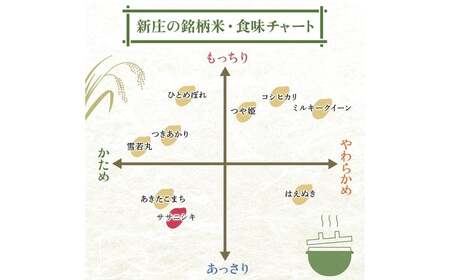 令和7年産 ササニシキ 5kg×2 計10kg 精米 【最上ノ米蔵】 山形県産 ささにしき こめ 米 白米 F3S-2688