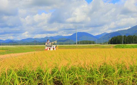 『定期便』厳選ササニシキ5kg 全3回 米 お米 おこめ ふるさと納税 山形県 新庄市 F3S-1396