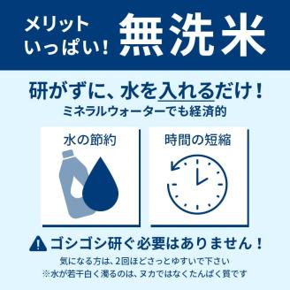 令和5年産 山形県産【雪若丸】無洗米 精米 10kg（5kg×2袋） 米 お米 おこめ 山形県 新庄市 F3S-1780