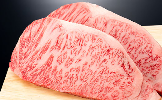 産地直送 4等級以上 山形牛 ステーキ セット 700g（サーロイン200g×2枚、もも150g×2枚） にく 肉 お肉 牛肉 山形県 新庄市 F3S-0597