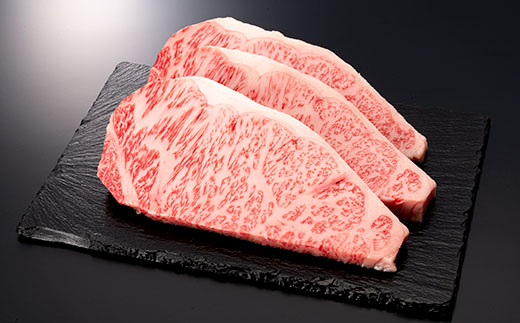 産地直送 山形牛 A5ランク ステーキ・焼肉 セット 合計1.2kg（サーロインステーキ 200g×3枚、もも・肩 焼き肉セット600g） にく 肉 お肉 牛肉 山形県 新庄市 F3S-0731