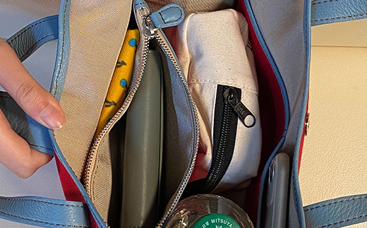 2Way サスティナブルバッグ 濃赤×ライトサックス F3S-1206