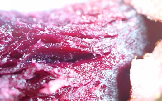 栽培期間中、農薬・化学肥料不使用 『訳あり ふくむらさき』5kg さつまいも サツマイモ 芋 F3S-1992