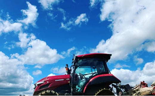 定期便 全6回 令和6年産 魅惑のはえぬき5kg 米 お米 おこめ 山形県 新庄市 F3S-2060