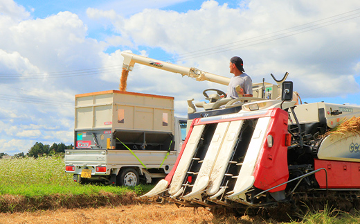 【定期便】漢方栽培 十四代目のはえぬき 5kg（精米）全12回 米 お米 おこめ 山形県 新庄市 F3S-2070