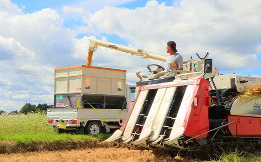 【先行予約】 令和6年産 漢方栽培 十四代目のササニシキ 10kg（5kg×2） 米 お米 おこめ 山形県 新庄市 F3S-2177