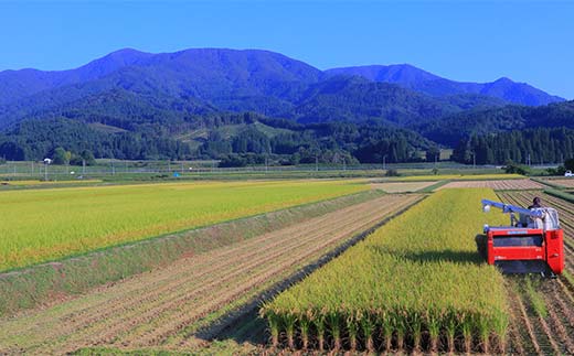 【先行予約】令和7年産米 黒澤のササニシキ（精米）1kg 米 お米 おこめ 山形県 新庄市 F3S-2323