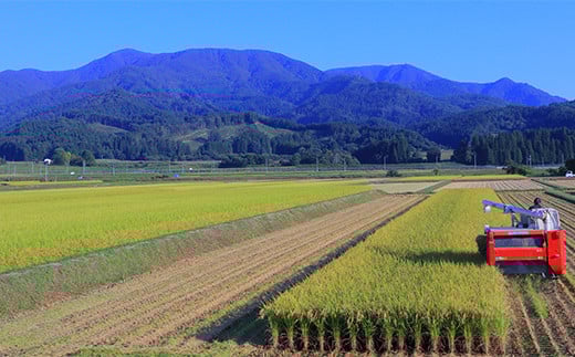 令和7年産米 黒澤のはえぬき（精米）1kg 米 お米 おこめ 山形県 新庄市 F3S-2374