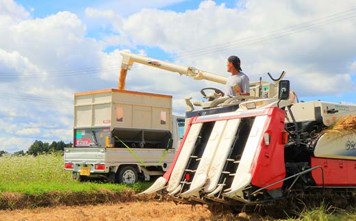 令和7年産 漢方栽培 低温熟成乾燥 十四代目のはえぬき（精米）3kg 米 お米 おこめ 山形県 新庄市 F3S-2407