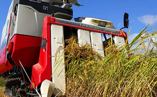 定期便 全6回 極みのはえぬき（精米）5kg×2 米 お米 おこめ 山形県 新庄市 F3S-2417