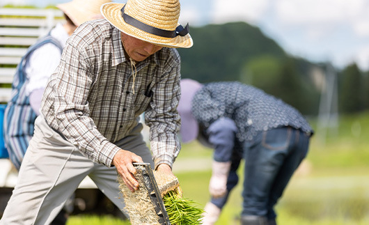 【最上の輝き】コシヒカリ 玄米 10kg（5kg×2袋） 米 お米 おこめ 山形県 新庄市 F3S-2545