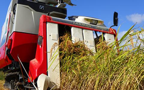 【定期便】令和5年産 極みのはえぬき 5kg（精米）全6回 米 お米 おこめ 山形県 新庄市 F3S-1696