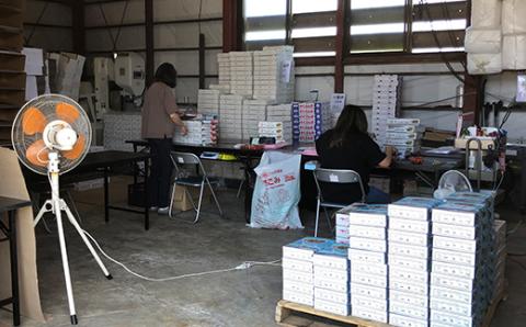 《先行予約》雪若丸・つきあかり・あきたこまち 食べ比べセット 6kg 精米 米 お米 おこめ 山形県 新庄市 F3S-1733