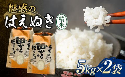 《先行予約》令和5年産米 魅惑のはえぬき（精米）10kg（5kg×2袋） 米 お米 おこめ 山形県 新庄市 F3S-1614