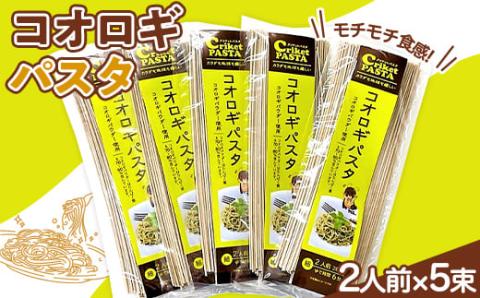 コオロギパスタ2人前×5束セット 麺 めん 山形県 新庄市 F3S-1672
