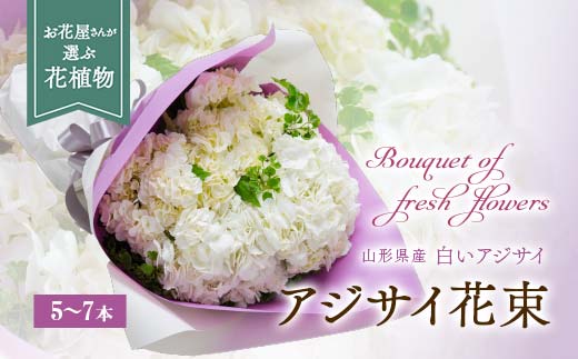 アジサイ（花束） 5～7本 あじさい 紫陽花 山形県 新庄市 F3S-0287