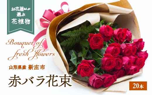 赤バラ 花束 20本 F3S-0746