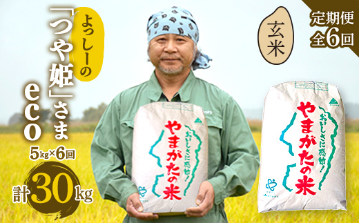 【定期便全6回】令和6年産よっしーの「つや姫」さまeco（玄米）5kg×6 米 お米 おこめ 山形県 新庄市 F3S-1629
