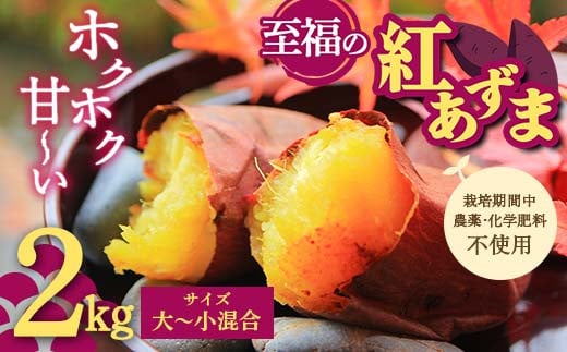 栽培期間中、農薬・化学肥料不使用 ホクホク甘～い『至福の紅あずま』サイズ 大～小混合 2kg さつまいも サツマイモ 山形県 新庄市 F3S-1931